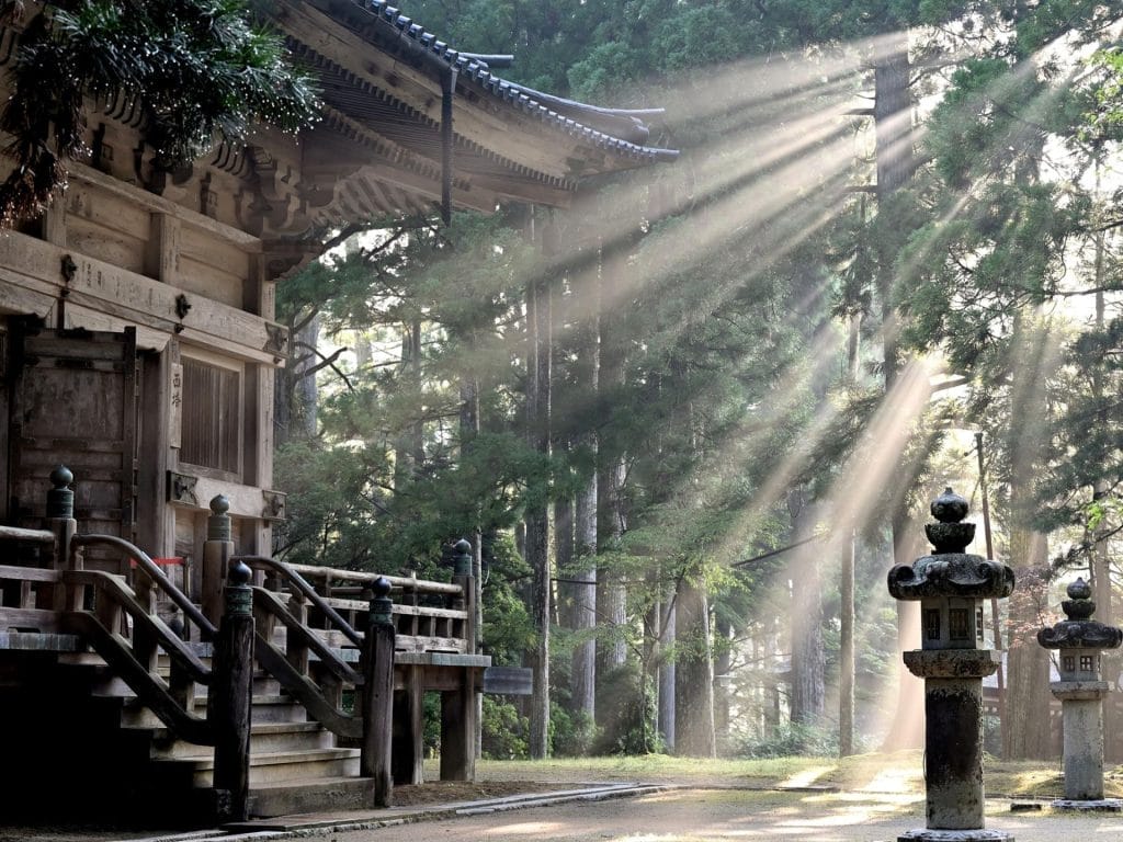 Das Geister-Badehaus ist das geschäftige Herz dieser Welt. Es ist kein stiller Tempel: Es ist laut und fordernd. Es läuft mit Verträgen und strengen Regeln. Geister kommen von ihren langen Reisen schmutzig und müde an, und sie müssen gewaschen, geheilt und wieder hinausgeschickt werden. Das erfordert ständige Arbeit. Jemand muss das Feuer im Kesselraum schüren. Jemand muss das Wasser fließen lassen und das Essen kochen. Andere müssen die Böden schrubben und die Goldmünzen sorgfältig zählen. Das ist reine Diamanten-Energie. Es ist die Energie von Arbeit, Dienst und den greifbaren Ergebnissen unserer Arbeit. Chihiros Reise ins Zauberland und Tarot